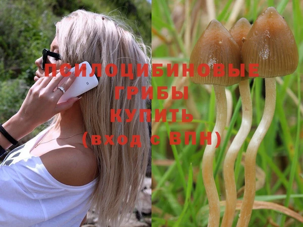 каннабис Белокуриха